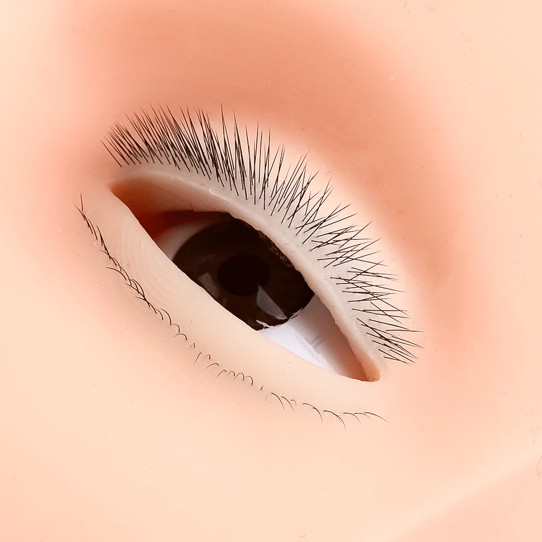 Kirpik Uzatma Eğitimi için Sıc - Eyelash Extension Open Eye incelemesi ve fiyatı